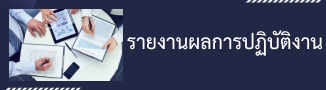 รายงานผลการปฏิบัติงาน