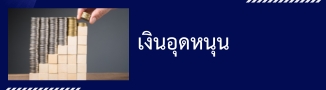 เงินอุดหนุน