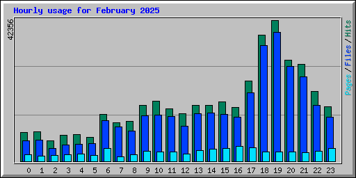 Hourly usage for February 2025