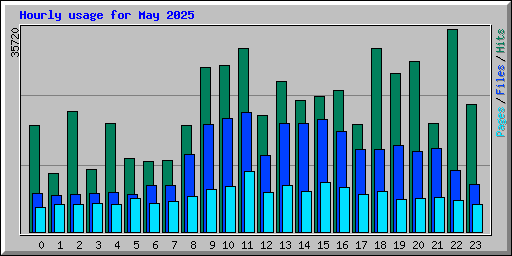 Hourly usage for May 2025