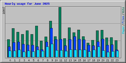 Hourly usage for June 2025