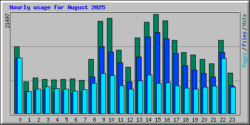 Hourly usage for August 2025