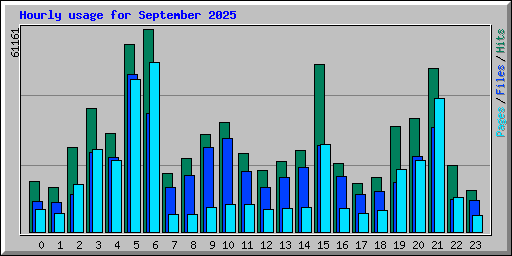 Hourly usage for September 2025