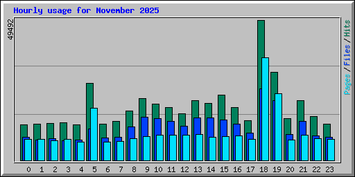 Hourly usage for November 2025