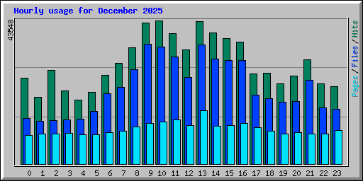 Hourly usage for December 2025