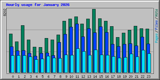 Hourly usage for January 2026