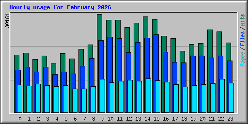 Hourly usage for February 2026