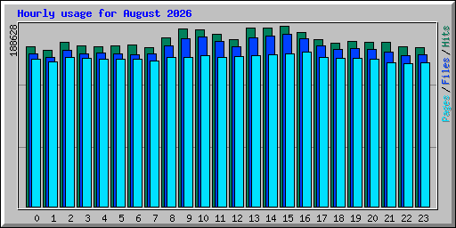 Hourly usage for August 2026