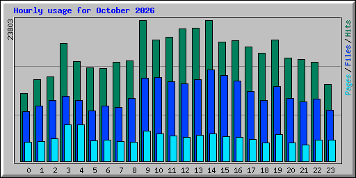 Hourly usage for October 2026